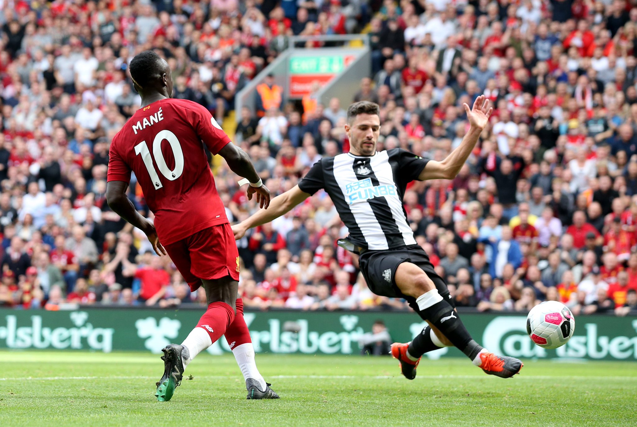 谢什科与哈 谢什科与哈